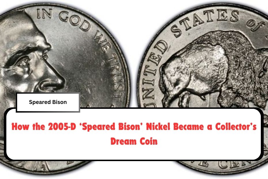 How the 2005-D ‘Speared Bison’ Nickel Became a Collector’s Dream Coin