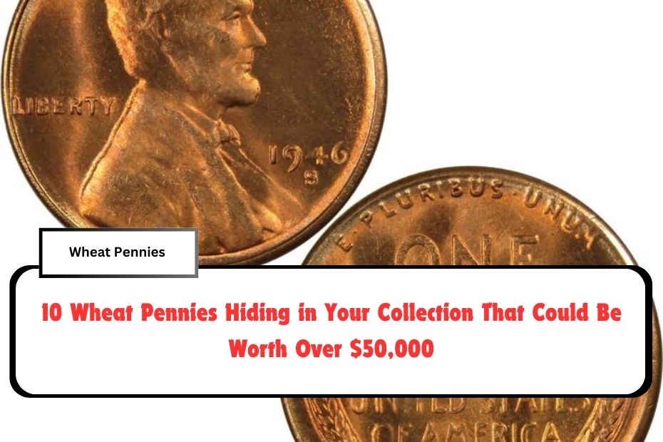 10 Wheat Pennies Hiding in Your Collection That Could Be Worth Over $50,000