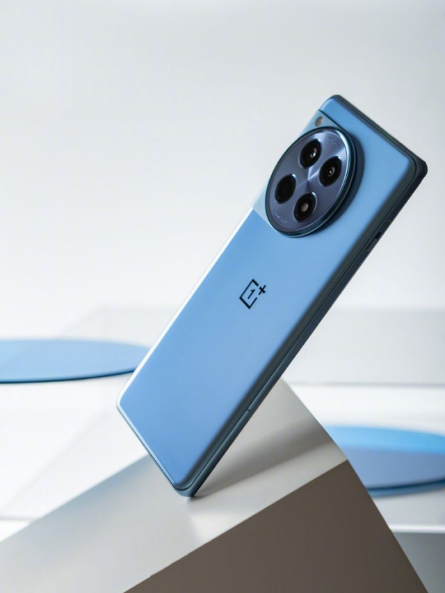 cropped-image-1564.png